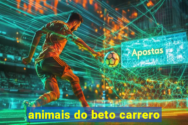 animais do beto carrero